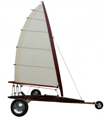 woody-DN.jpg